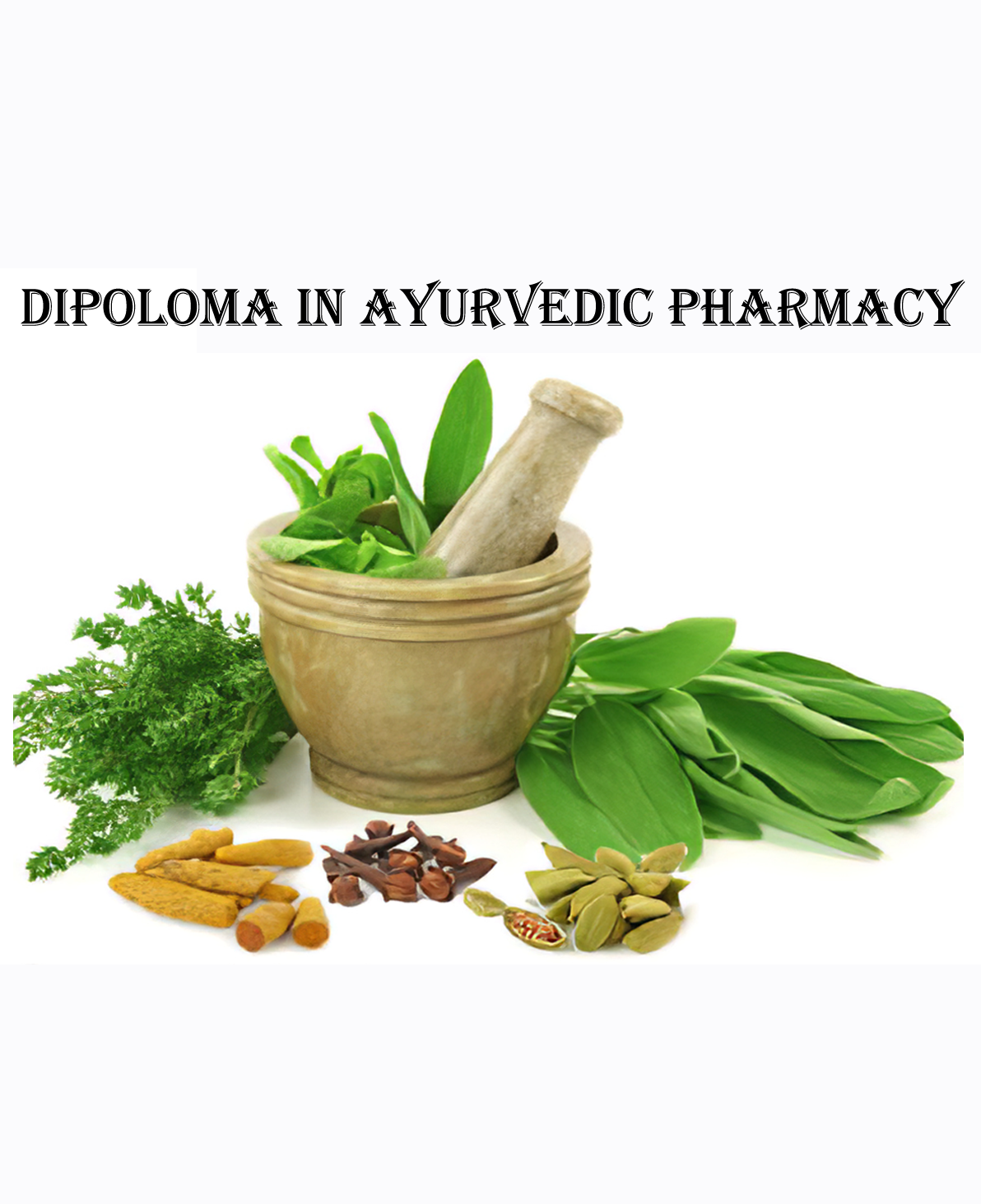Shree Open University of Health Science