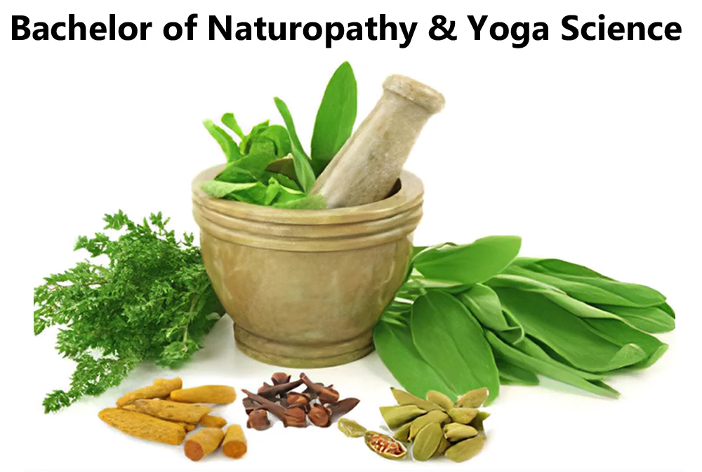  Bachelor of Naturopathy & Yoga Science